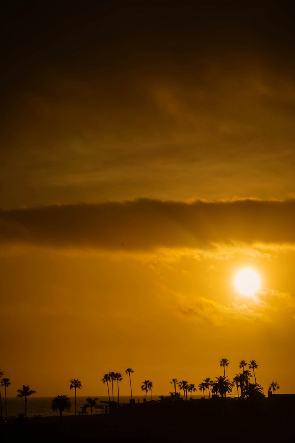 Palmen im Gegenlicht vor einem Sonnenuntergang über dem Meer.